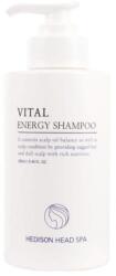 Dr. Hedison Dr. Hedison, Vital Energy, Șampon, Strengthening, 280 ml