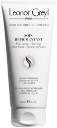 Leonor Greyl Leonor Greyl, Soin Repigmentant, Hair Colour Conditioner, Icy Brown, Enhances Color Vibrancy, 200 ml