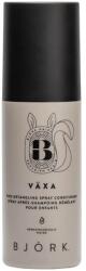 Björk Bjork, Vaxa Kids, Hair Leave-In Balm Spray, Detangle, 150 ml