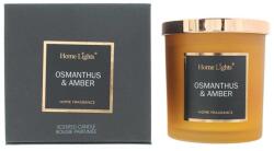 Home Lights Home Lights, Osmanthus & Amber, Scented Candle, 215 g