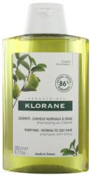 Klorane Klorane, Citrus, Paraben-Free, Șampon, Cleansing, 200 ml