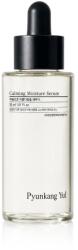 Pyunkang Yul Calming Moisture Serum 30 ml