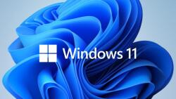 Microsoft Windows 11 Pro 64Bit English 1pk DSP OEI DVD (FQC-10528)