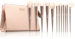 ICONIC London Ultimate Brush Set set de pensule cu geantă