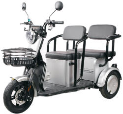 RPX-TRI Triciclu Doua Locuri - 1000w / 60v / 20ah / Gri (tri-dlg)