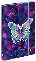 KARTON P+P Füzetbox OXY A/5 Butterfly (5-69025) - robbitairodaszer