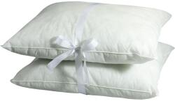 2G Umplutură pentru perne din textil neţesut 40 x 40 cm 2 bucăţi