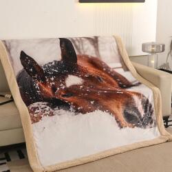 APEX Pătură cu blăniță CAL 150 x 200 cm Patura