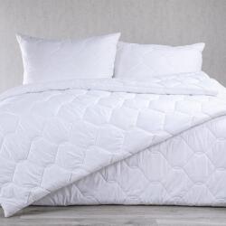 STANEX Set matlasat cu pilotă 140 x 200 cm şi pernă 70 x 90 cm cu Aloe Vera