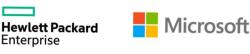Microsoft Microsoft Windows Server 2022 10-core Essentials Reseller Option Kit en/fr/it/de/es/nl/pt SW (P46172-A21)