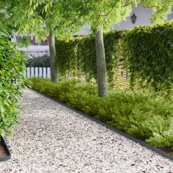 vidaXL Margine pentru gazon 50 pcs 102 x 4 x 4 cm Otel Antracit GartenMobel Dekor (8008725)