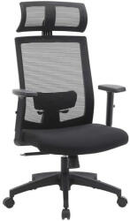 SONGMICS Irodai szék, hálós borítással, ergonomikus számítógépes szék (OBN55BK)