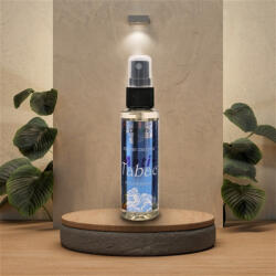 AIR ON Odorizant Auto Spray 50ml Anti Tabac AIR ON (AC62987)