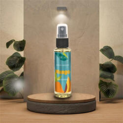 AIR ON Odorizant Auto Spray 50ml Mango AIR ON (AC88566)