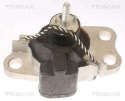 TRISCAN Suport motor TRISCAN 8505 25100 (8505 25100) - fixbox