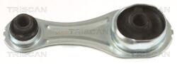 TRISCAN Suport motor TRISCAN 8505 25126 (8505 25126) - fixbox