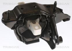 TRISCAN Suport motor TRISCAN 8505 29104 (8505 29104) - fixbox