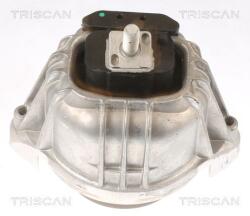 TRISCAN Suport motor TRISCAN 8505 11106 (8505 11106) - fixbox
