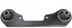 METZGER Suport motor METZGER 8053924 (8053924)