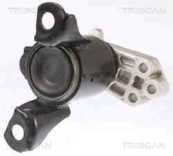 TRISCAN Suport motor TRISCAN 8505 16102 (8505 16102) - fixbox