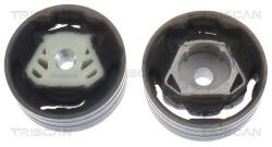 TRISCAN Suport motor TRISCAN 8505 29137 (8505 29137) - fixbox