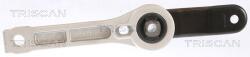 TRISCAN Suport motor TRISCAN 8505 29123 (8505 29123) - fixbox