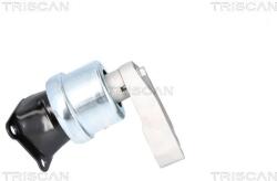 TRISCAN Suport motor TRISCAN 8505 29186 (8505 29186) - fixbox