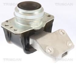 TRISCAN Suport motor TRISCAN 8505 28112 (8505 28112) - fixbox