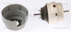 TRISCAN Suport motor TRISCAN 8505 29101 (8505 29101) - fixbox