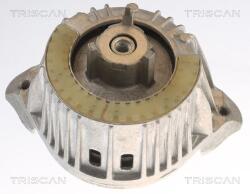 TRISCAN Suport motor TRISCAN 8505 23108 (8505 23108) - fixbox