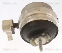 TRISCAN Suport motor TRISCAN 8505 29111 (8505 29111) - fixbox