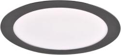 Polux Rigel 324115