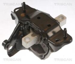 TRISCAN Suport motor TRISCAN 8505 29139 (8505 29139) - fixbox