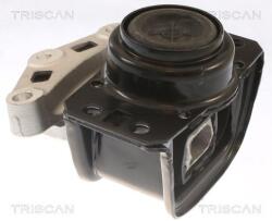 TRISCAN Suport motor TRISCAN 8505 28108 (8505 28108) - fixbox