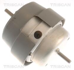 TRISCAN Suport motor TRISCAN 8505 29169 (8505 29169) - fixbox