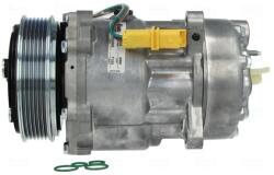 NISSENS Compresor, climatizare NISSENS 89032 (89032)