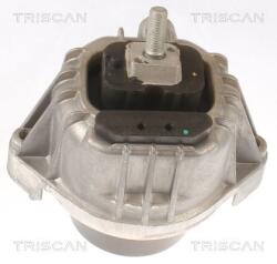 TRISCAN Suport motor TRISCAN 8505 11111 (8505 11111) - fixbox