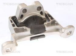 TRISCAN Suport motor TRISCAN 8505 10105 (8505 10105) - fixbox