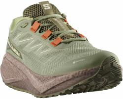  Sportcipő Salomon Aero Blaze 3 Grvl Gtx L47978500 Férfi Kaki 44 2/3