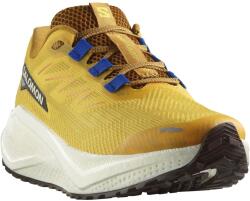 Salomon Aero Blaze 3 Grvl L47974200 férfi sportcipő sárga 41 1/3