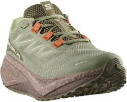 Salomon Aero Blaze 3 Grvl Gtx L47978500 férfi sportcipő, kakis, 42-es