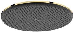 Hansgrohe Raindance Alive S cap de duș 30x30 cm rotund auriu 24523990 (24523990)