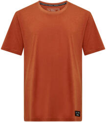 Salewa Tricou pentru bărbați Eagle Logo Patch T-Shirt Bombay Brown XL