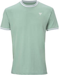 Tecnifibre Tricou pentru bărbați Team Stretch Tee Sage S
