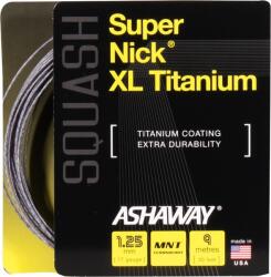 Ashaway Racordaj de squash SuperNick XL Ti