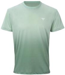 Tecnifibre Tricou pentru bărbați Team X-Loop Sage L