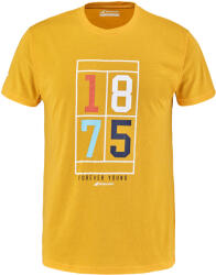 Babolat Tricou pentru bărbați Exercise Vintage Tee Men Saffr Heather S