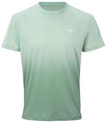 Tecnifibre Tricou pentru bărbați Team X-Loop Sage XL