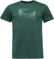 LOAP Braleo (clm2650-n27n)