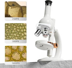 Science Can Mini Laboratorul Meu Cu Microscop - Science Can (160116)